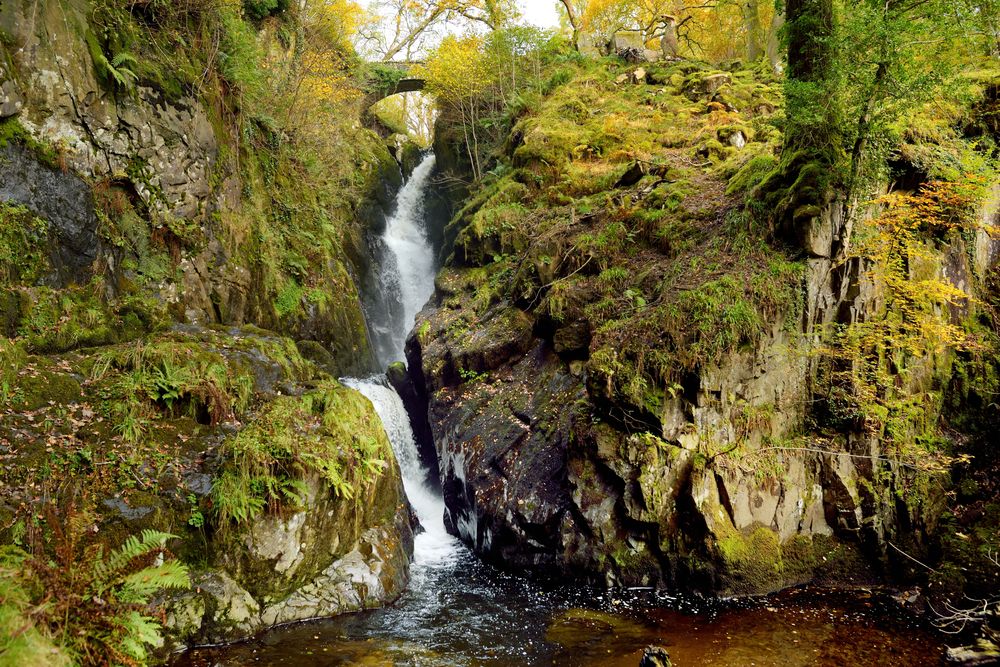 aira force